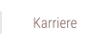 Karriere
